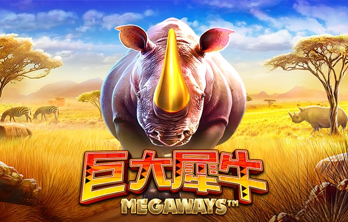 im·电竞(中国)